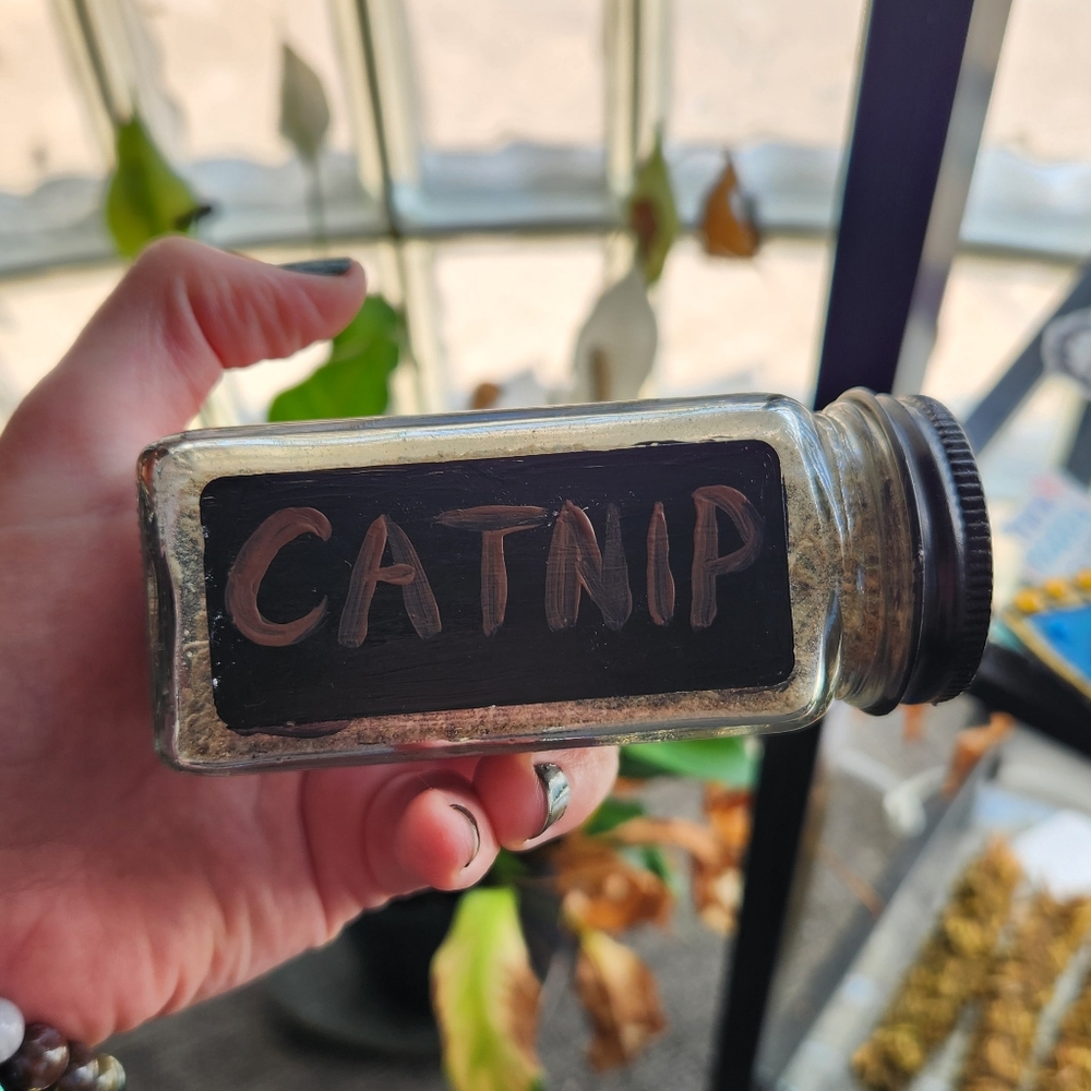 Catnip - Picture 5 of 8